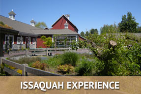 Issaquah Experience